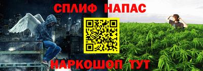 спайс Можга