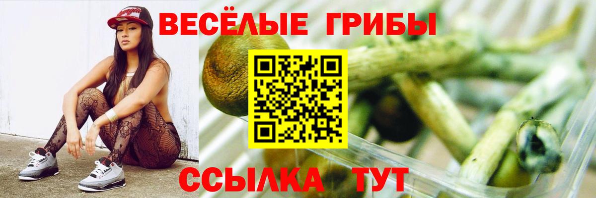 Галлюциногенные грибы мицелий Бердск